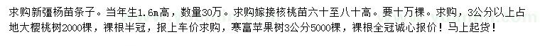 求購新彊楊苗條子、嫁接核桃苗、大櫻桃樹等