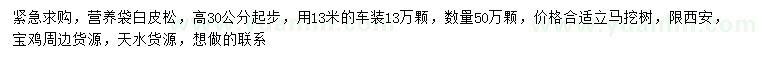 求購高30公分以上白皮松