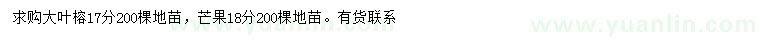 求購(gòu)17公分大葉榕、18公分芒果