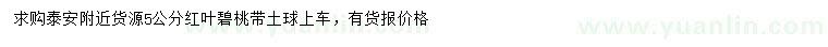 求購5公分紅葉碧桃