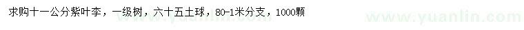 求購(gòu)11公分紫葉李