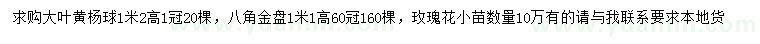 求購大葉黃楊球、八角金盤、玫瑰花小苗