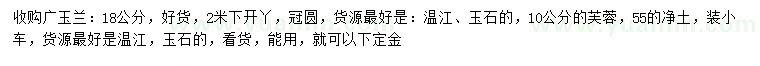 求購(gòu)18公分廣玉蘭、10公分芙蓉