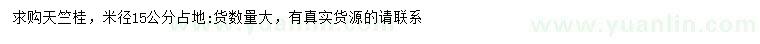 求購米徑15公分天竺桂