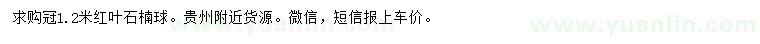 求購(gòu)冠1.2米紅葉石楠球