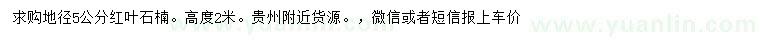 求購地徑5公分紅葉石楠