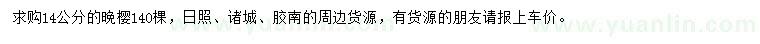 求購14公分晚櫻