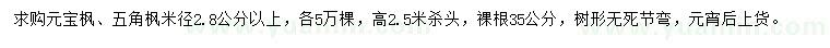 求購(gòu)米徑2.8公分以上元寶楓、五角楓