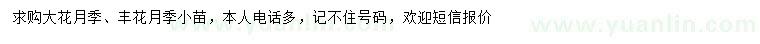 求購(gòu)大花月季、豐花月季小苗