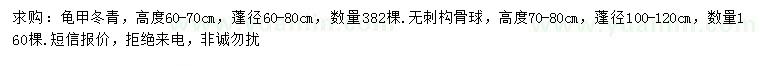 求購高60-70公分龜甲冬青、高70-80公分無刺枸骨球