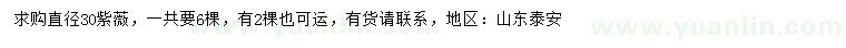 求購30公分紫薇