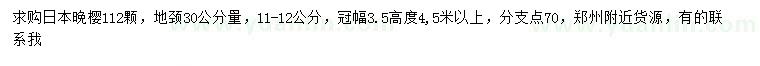 求購(gòu)30量11-12公分日本晚櫻