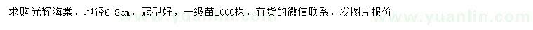 求購地徑6-8公分光輝海棠