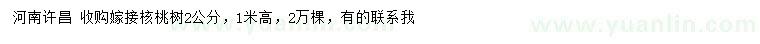 求購2公分嫁接核桃樹