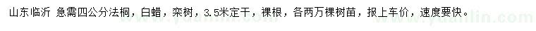 求購法桐、白蠟、欒樹(shù)