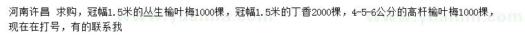 求購叢生榆葉梅、醒香、高桿榆葉梅
