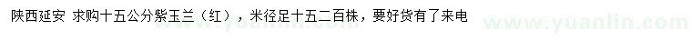 求購米徑15公分紫玉蘭
