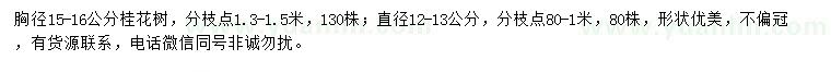 求購胸徑12-13、15-16公分桂花