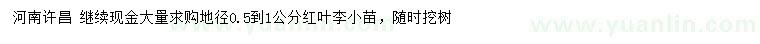 求購地徑0.5-1公分紅葉李小苗