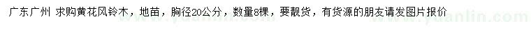 求購胸徑20公分黃花風(fēng)鈴木地苗