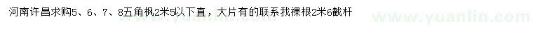 求購5、6、7、8五角楓