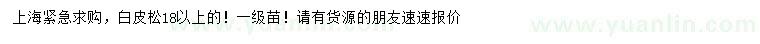 求購18公分以上白皮松