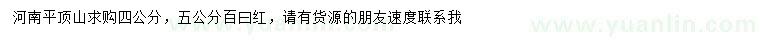 求購4、5公分百曰紅