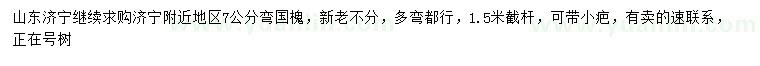 求購7公分彎國槐