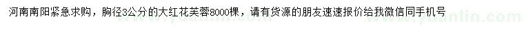 求購胸徑3公分大紅花芙蓉
