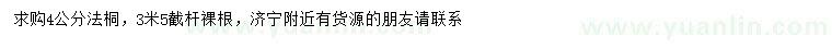 求購4公分法桐