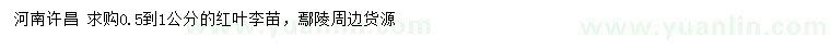 求購0.5-1公分紅葉李苗