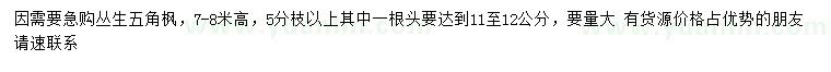 求購7-8公分叢生五角楓