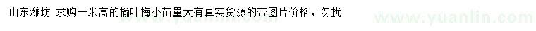求購(gòu)高1米榆葉梅小苗