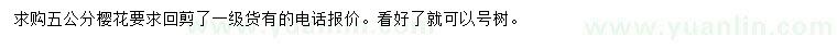 求購5公分櫻花