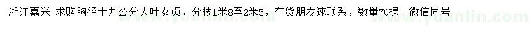求購胸徑19公分大葉女貞