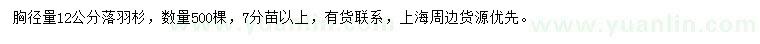 求購胸徑12公分落羽杉
