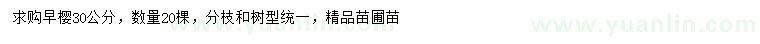 求購30公分早櫻