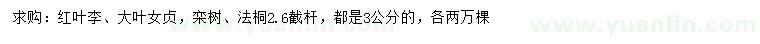 求購紅葉李、大葉女貞、欒樹等