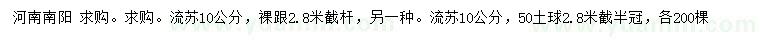 求購10公分流蘇