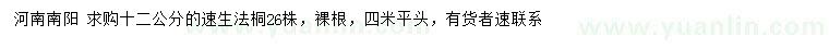 求購12公分速生法桐