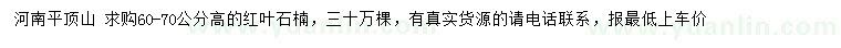 求購高60-70公分紅葉石楠