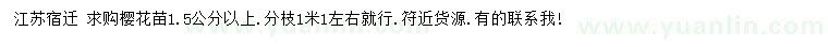 求購1.5公分以上櫻花苗