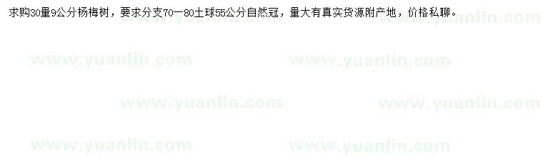求購(gòu)30量9公分楊梅樹(shù)