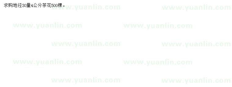 求購地徑30公分量4公分茶花