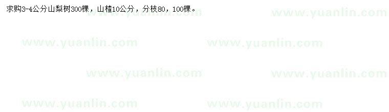 求購3-4公分山梨樹、10公分山楂