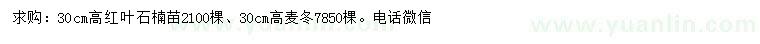 求購(gòu)高30公分紅葉石楠苗