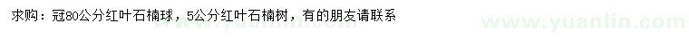 求購冠幅80公分紅葉石楠球、5公分紅葉石楠樹