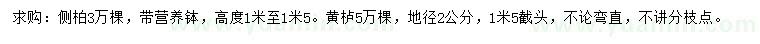 求購(gòu)高度1-1.5米側(cè)柏、地徑2公分黃櫨