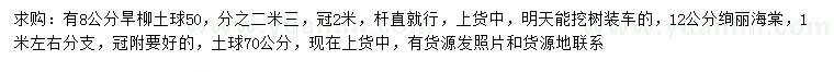 求購8公分旱柳、12公分絢麗海棠