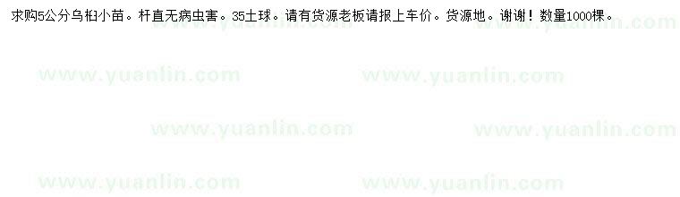 求購5公分烏桕小苗